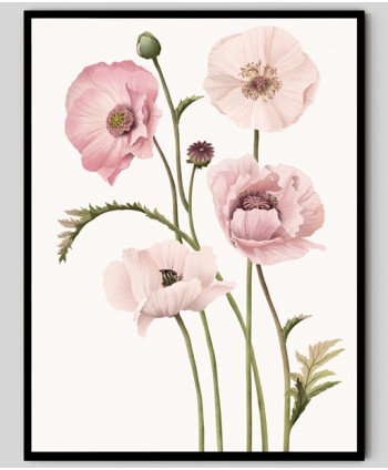 Poster Subtle poppies