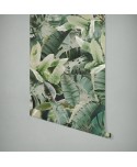 JUNGLE JUNGLE