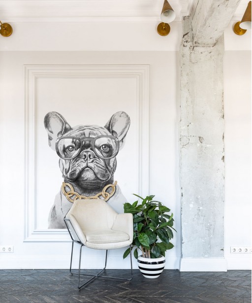 Wallpaper French bulldog foto tapeta