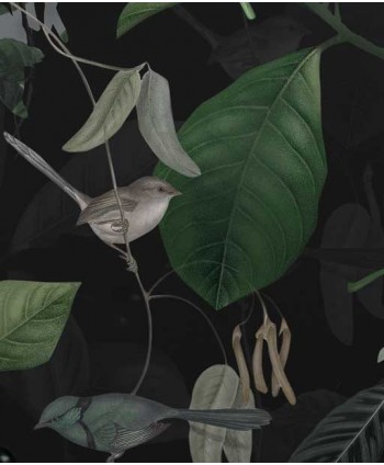 Tapeta botaniczna z ptakami na czarnym tle