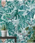 MONSTERA MONSTERA