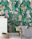 MONSTERA MONSTERA